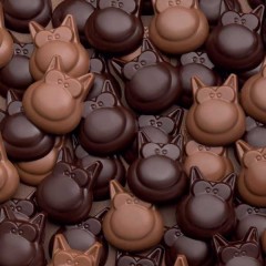 Les Chocolats Du Chat Galler